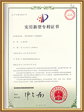 Brevetto di innovazione