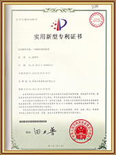 Brevetto di innovazione